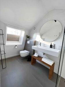 布鲁克因瓦特兰Lovely private cottage near Amsterdam的一间带水槽、卫生间和镜子的浴室