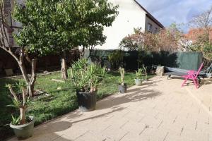 奥尔泽姆Villa avec piscine intérieure的花园,种有长凳和树木及植物