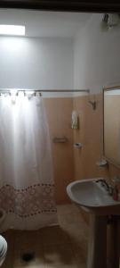 奇莱西托Casa en Chilecito equipada cerca ruta 40的浴室配有淋浴帘和盥洗盆。