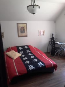 巴克乌Casa VIP的一间卧室配有一张带红白毯子的床