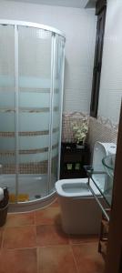 LanzahitaLa belleza del Tietar的一间带卫生间和玻璃淋浴间的浴室