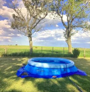 坦迪尔Casa de campo rústica的蓝浴盆,坐在草地上