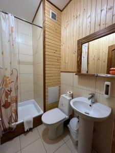 斯拉夫西克Zarichna Lyks的浴室配有卫生间、盥洗盆和浴缸。
