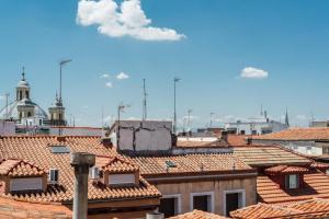 马德里Charming La Latina Home的城市建筑屋顶景观