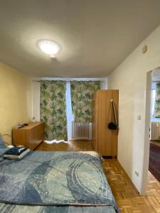 格蒙登Wohnung in Bahnhofsnähe mit Balkon - 35 m2的一间卧室设有一张大床和一个窗户。