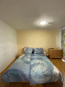 格蒙登Wohnung in Bahnhofsnähe mit Balkon - 35 m2的一间卧室配有一张带蓝色棉被的床