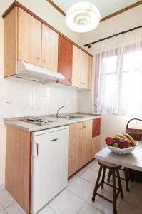 索非亚一室公寓的厨房或小厨房