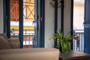 爱琴娜岛Simo's Apartments的客厅配有沙发和植物桌子