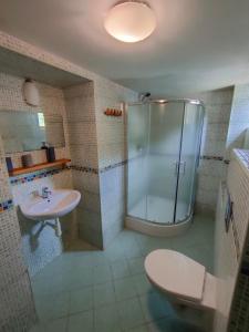 梅图耶河畔特普利采Penzion Severka的带淋浴、盥洗盆和卫生间的浴室