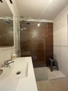 阿拉力兹Piso BOLBORETEIRO的带淋浴、水槽和淋浴的浴室