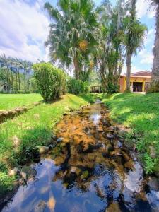 莫雷蒂斯Pousada e Restaurante Dona Siroba的棕榈树和房子的田野里的小溪