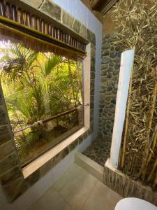 MachetáHotel Campestre mirador CaloPala的浴室设有窗户,外面有棕榈树