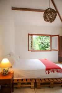 卡舒埃拉斯迪马卡库Guest House Fazenda do Francês & Culinária Francesa的一间卧室设有一张床和一个窗口
