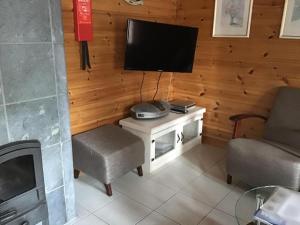 HattusaariKoli Country Club的客厅配有电视、2把椅子和电视