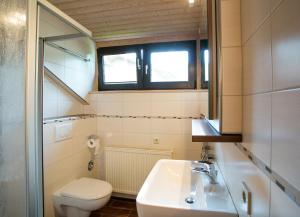 弗赖翁Ferienhaus Endl的一间带水槽、卫生间和镜子的浴室