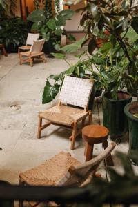 瓦哈卡市Los Pilares Hotel的花园里的一组椅子和凳子