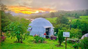 PoasitoPoas Volcano Observatory Lodge & Glamping的地里的帐篷,背景是日落