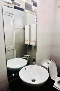 圣何塞Hillside Hotel的一间带水槽、卫生间和镜子的浴室