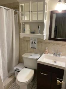 迈阿密Beds & Sheets DOWNTOWN的浴室配有白色卫生间和盥洗盆。
