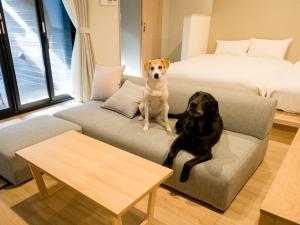日光Rakuten STAY Nikko Hoden Capacity of 8 persons的客厅的沙发上放着两只狗