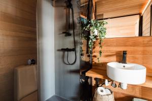 罗瓦涅米Ternu Minivilla的一间带水槽和淋浴的浴室