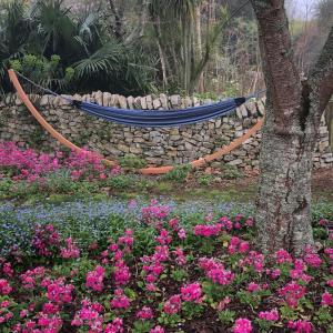 TamahereEnglish Cherry Tree Manor的花园里的吊床,种有鲜花,设有石墙