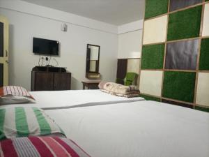 拉塔古里Hotel Sonali的一间酒店客房,设有两张床和电视