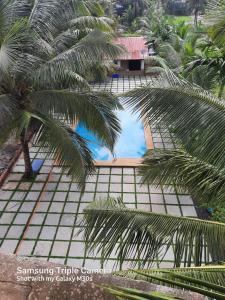 曼德姆Green House Stay的享有棕榈树游泳池的顶部景致