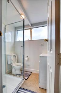 汉密尔顿Villa near CBD and Globox Arena的一间带卫生间和玻璃淋浴间的浴室
