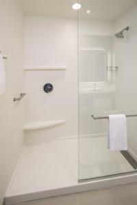 杰克逊维尔Residence Inn by Marriott Jacksonville South Bartram Park的带淋浴的浴室和玻璃门