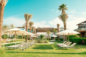 迪拜迪拜海滩Spa度假酒店的一排带遮阳伞和棕榈树的沙滩椅