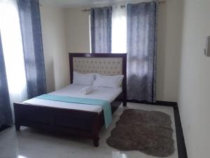 蒙巴萨TWO BEDROOM APARTMENT BAMBURI Mombasa的一间卧室设有床、窗户和地毯。