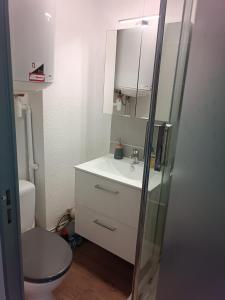 尼姆Studio proche du CHU的一间带水槽和卫生间的浴室