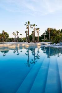 格里莫格里莫港最佳假日露营地的一座棕榈树环绕的游泳池