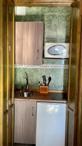 马罗巴尔肯德马洛公寓式酒店的一间带水槽和微波炉的小厨房