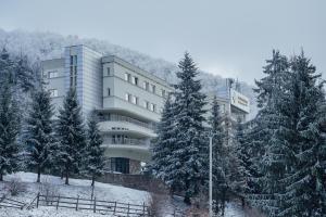 巴尔瓦尼亚Balvanyos Resort (Grand Hotel Balvanyos)的前面有雪覆盖的树木的建筑