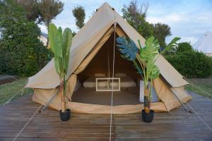 格罗韦Camping & Glamping Muiñeira的木甲板上带两盆植物的帐篷