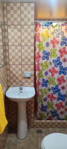 阿雷基帕Casa particular的一间带水槽和淋浴帘的浴室