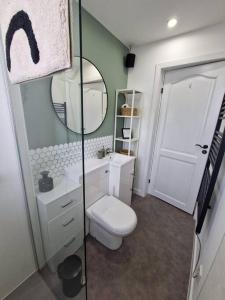 勒威克Koselig Properties的一间带卫生间、水槽和镜子的浴室