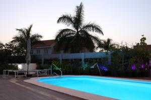 拉奥罗塔瓦Jungle Paradise的棕榈树屋前的游泳池