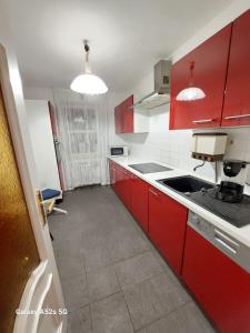 科隆Appartement am Uni Park Köln Sülz的一间带红色橱柜和水槽的厨房
