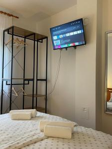 KaranacKuća za odmor Saturnus的客房设有一张带两个枕头的床和一台墙上的电视。