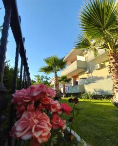 卡瓦亚Hotel Jaho的棕榈树和鲜花的房子