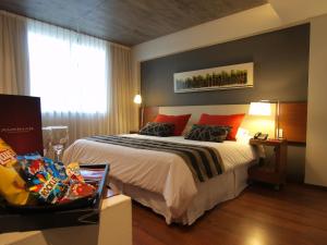 圣米格尔·德·图库玛Amérian Tucuman Apart & Suites的一间卧室设有一张大床和一个窗户。
