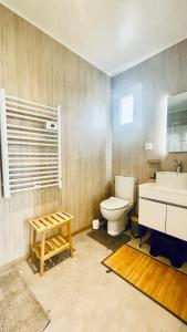 克罗宗Tiny house proche de Morgat的一间带卫生间和水槽的浴室