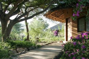 阿鲁沙Kia Lodge的一条靠近紫色花房的走道