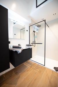 普罗丰德维耶Gîte : Le Petit Appentis的一间带玻璃淋浴和水槽的浴室