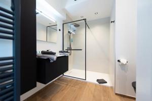 普罗丰德维耶Gîte : Le Petit Appentis的带淋浴的浴室和玻璃门