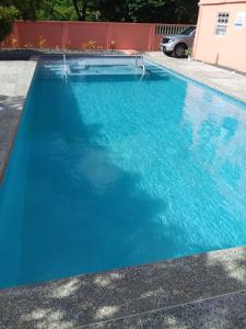 克朗角JGs Tropical Apartments的车道上的蓝色海水游泳池