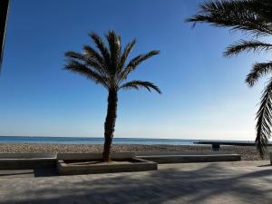 克尤伯厄拉斯Apartment Foix的棕榈树坐在海滩上